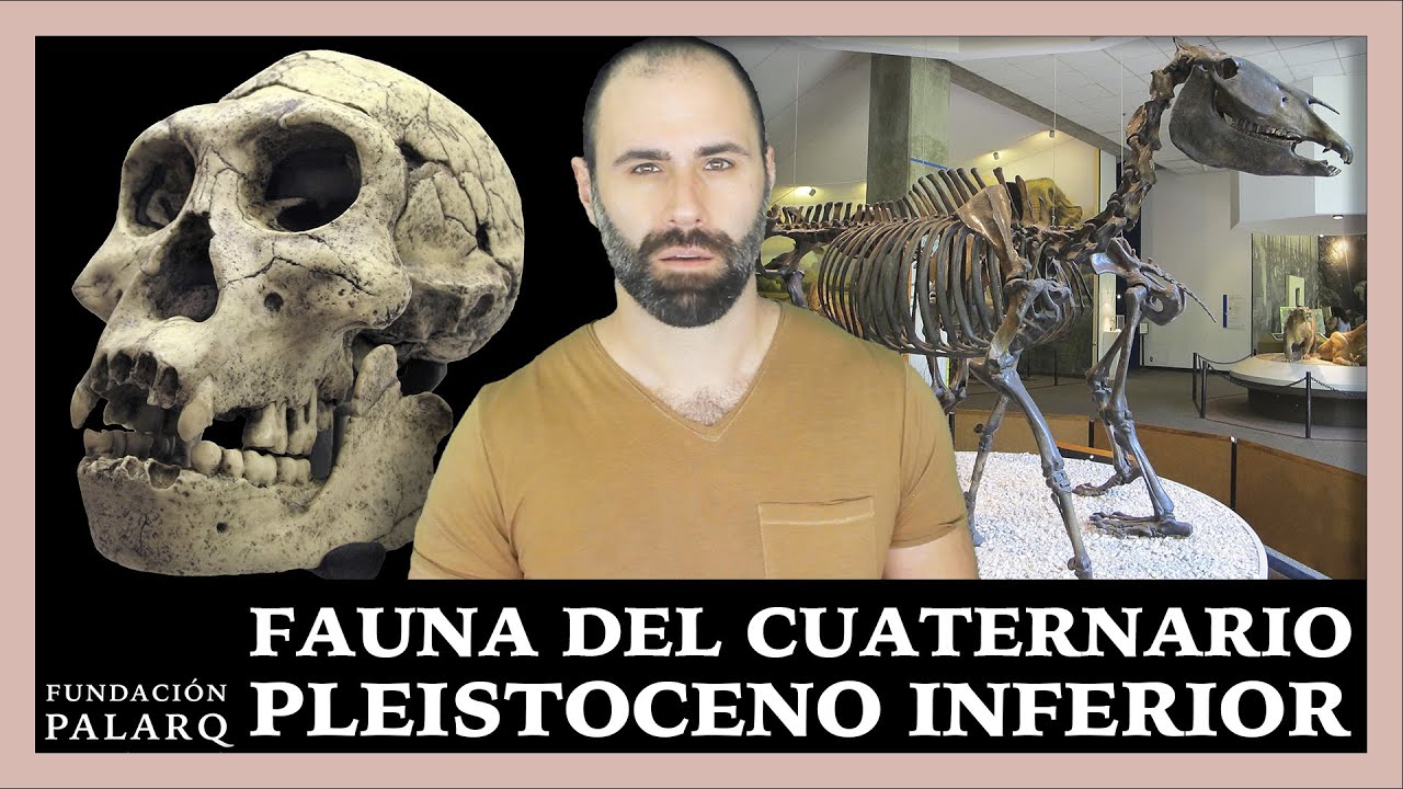 Animales prehist&oacute;ricos y glaciaciones: La incre&iacute;ble historia de la fauna del Pleistoceno Inferior