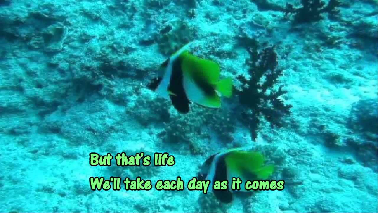 A Love To Last a Lifetime - Jose Mari Chan w/ Lyrics