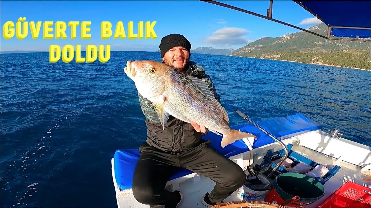 KARİDES VE EKMEK İLE PARAGAT ATTIM/HER ÇEŞİT BALIK GELDİ/ÇUPRA/SİNARİT/MERCAN AVI #fishing #balıkçı
