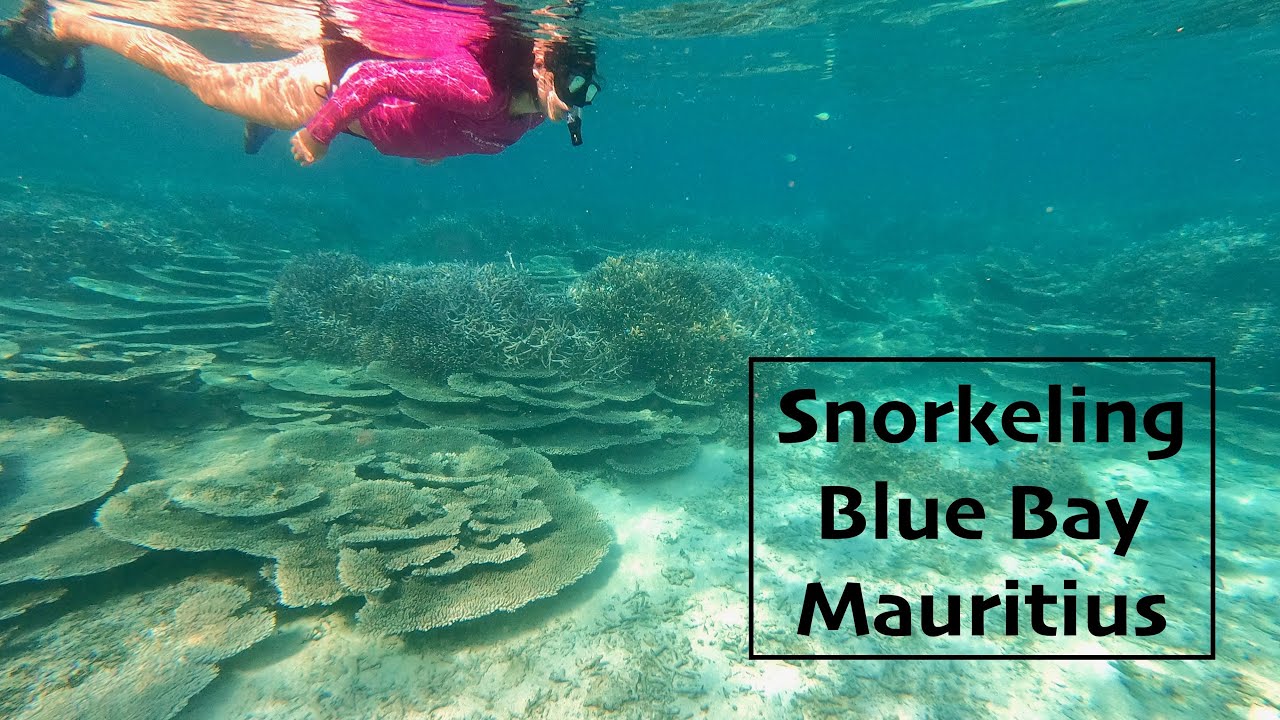 Snorkel Review -  Blue Bay, Mauritius
