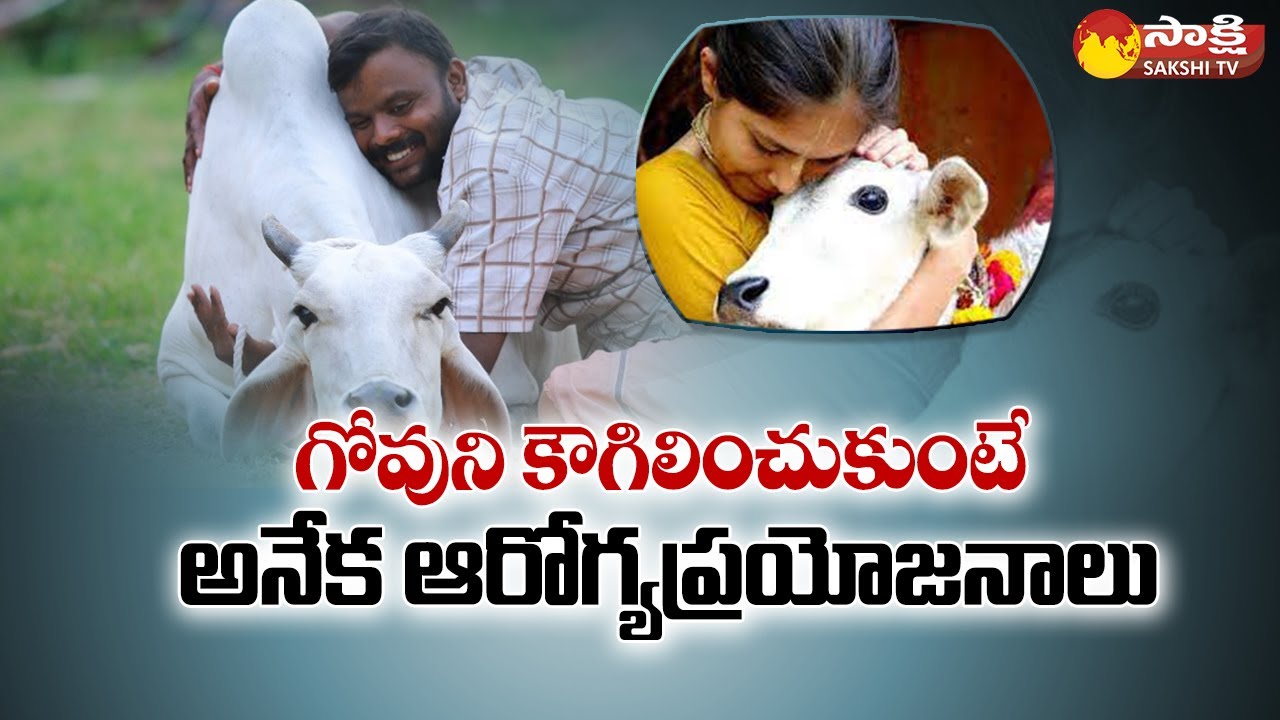Jokes apart, cow hugging has benefits. But, the cow must know you @SakshiTV