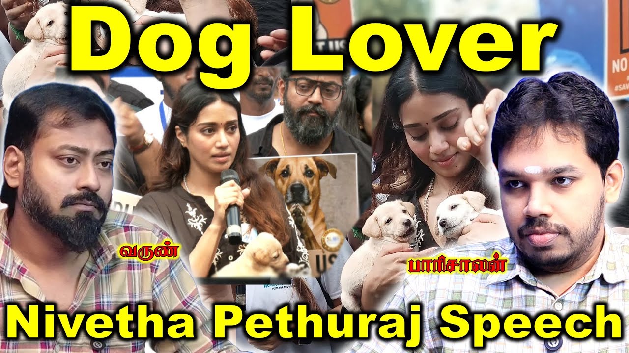 தெருநாய்களைப் பற்றிப் பேசிய நடிகை நிவேதா பெத்துராஜ் | Paari Saalan and Varun Tamil podcast