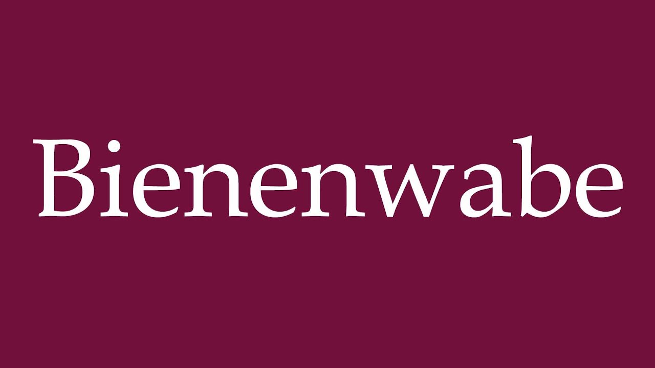 How to Pronounce ''Bienenwabe'' (Honeycomb) Correctly in German