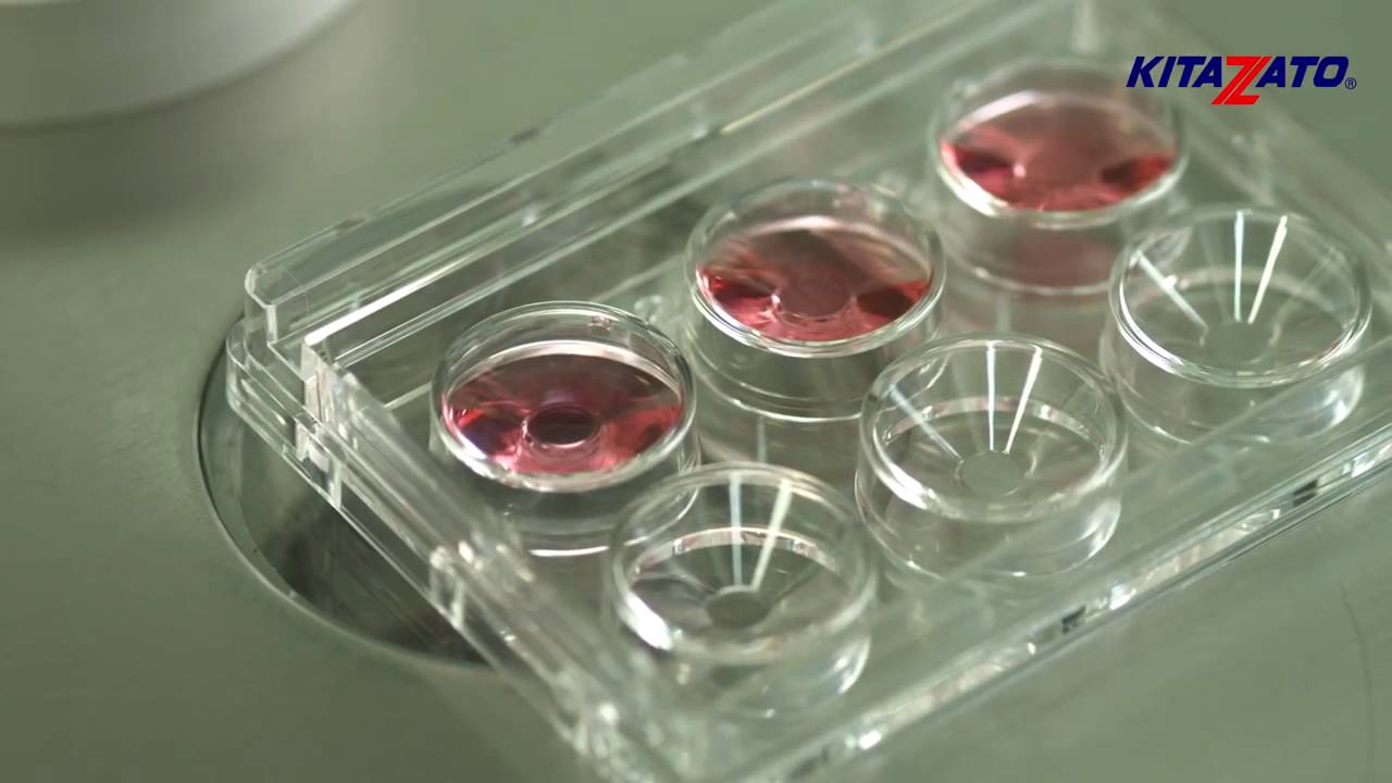 Kitazato Cryotop® Oocyte Thawing   Open System