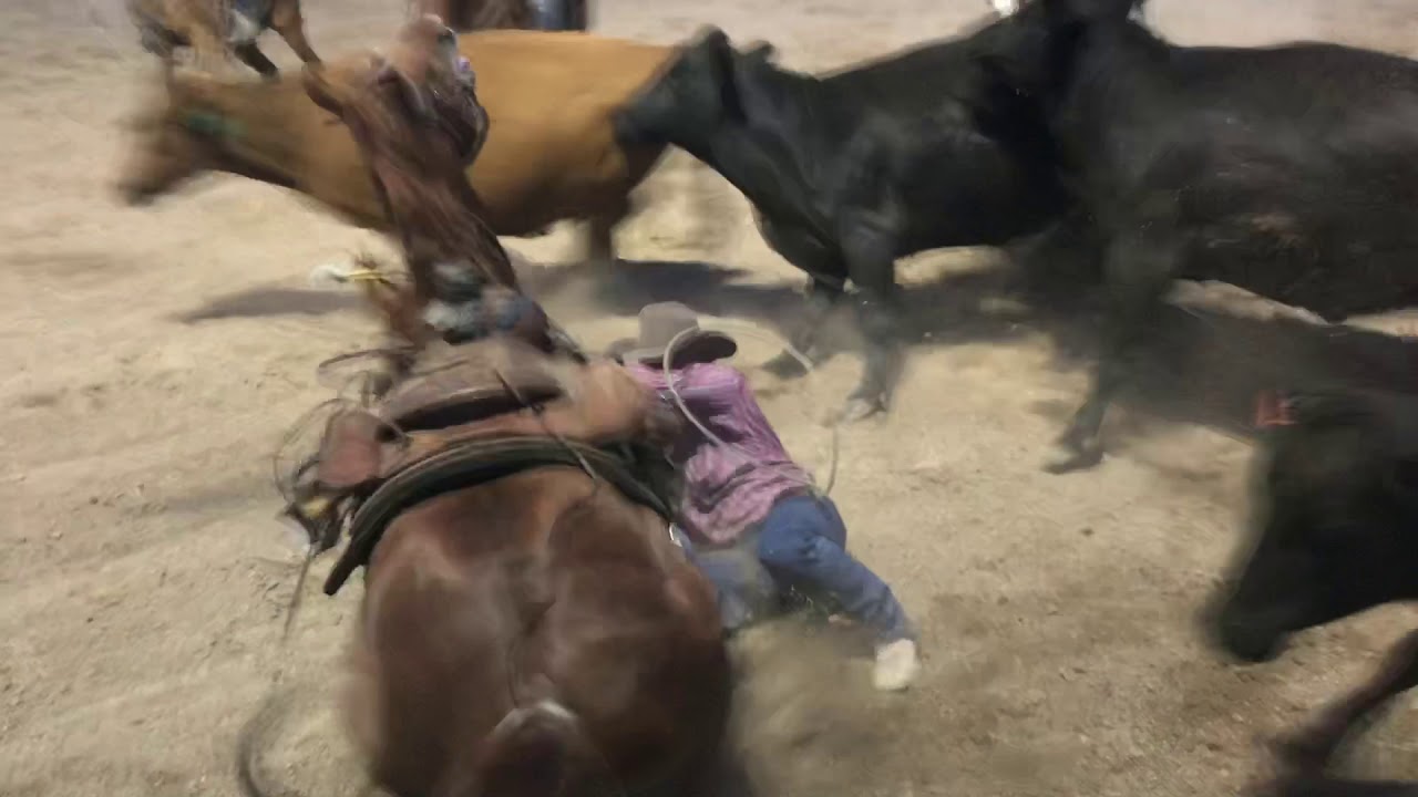 Wild Cow Milking Contest: When A Cowboy Wants His Milk Bottle Refilled!