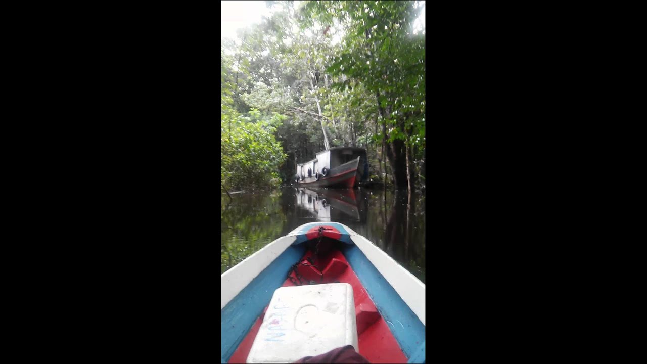 Passeio nos igarapes Cateandeua e Guajar&aacute;-A&ccedil;u