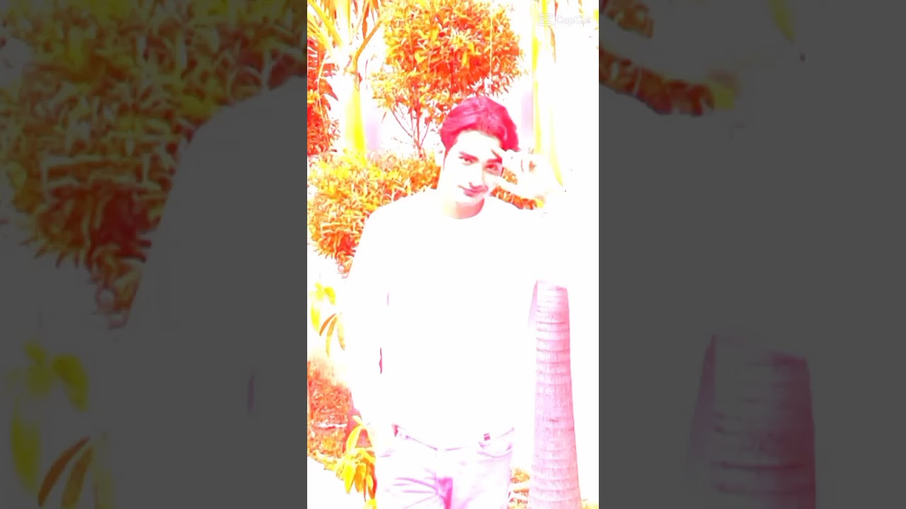 ccp mahdy reza