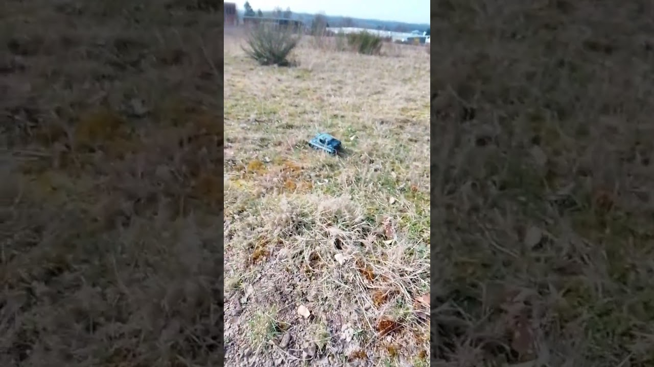 Das Wetter ausgenutzt mit dem RC Tiger 1 1:24 von Toucan