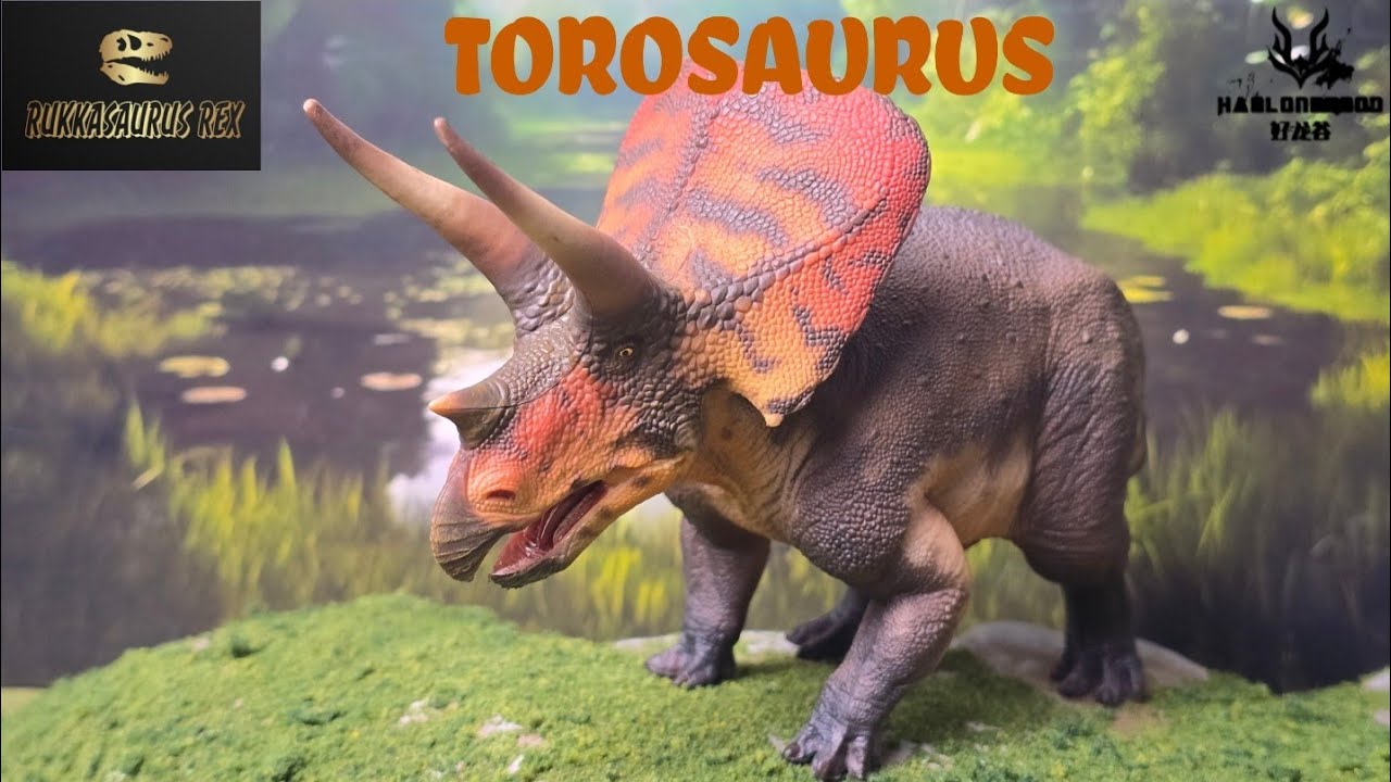 Haolonggood Torosaurus 1:35 Scale Review