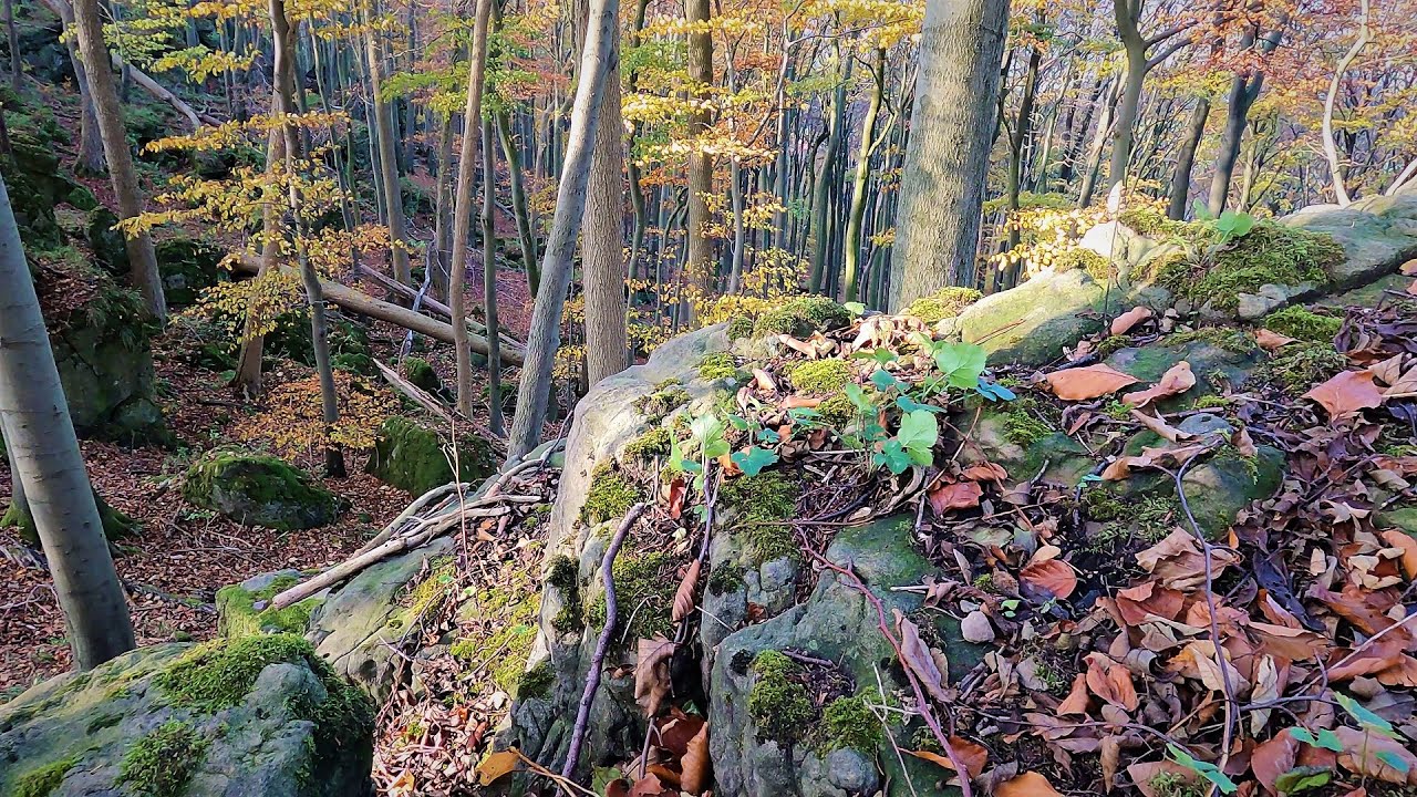 Kammweg auf dem Ith ein magisch schöner Ort