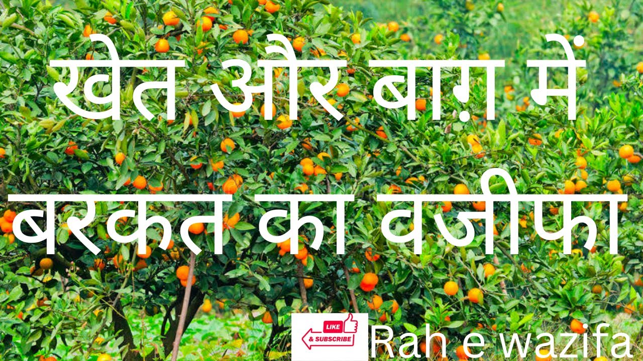 खेत और बाग़ में बरकत का वजीफा