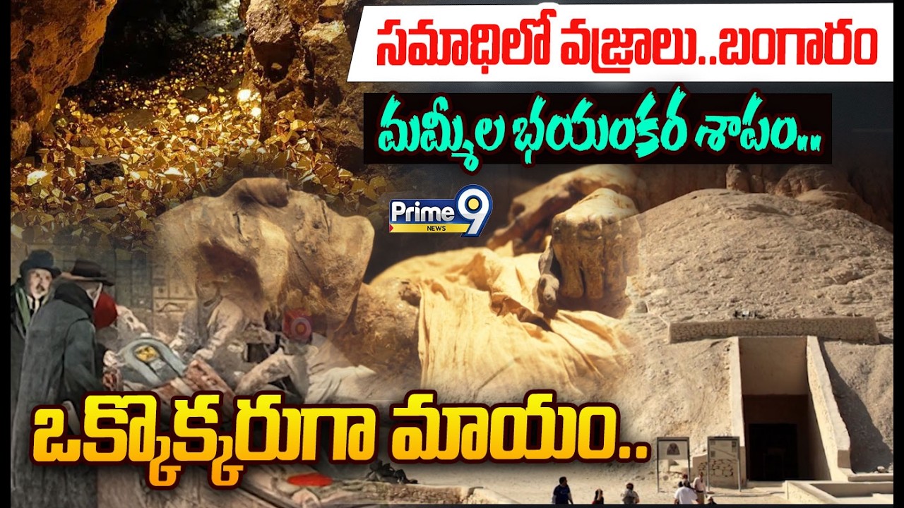 సమాధిలో వజ్రాలు..బంగారం..మమ్మీల భయంకర శాపం.ఒక్కొక్కరుగా మాయం  Egyptian Mummies Dangerous Story