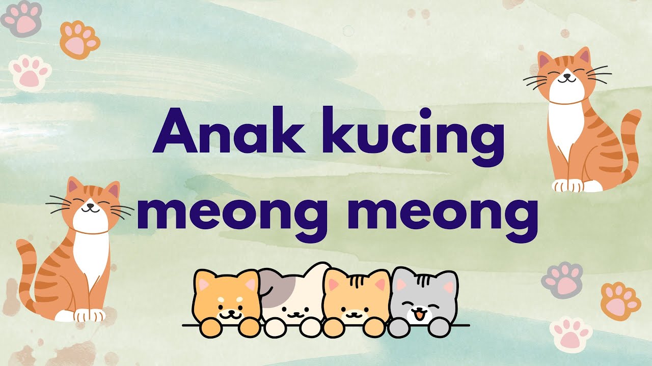 Anak kucing meong meong - Lagu populer - Lagu anak anak