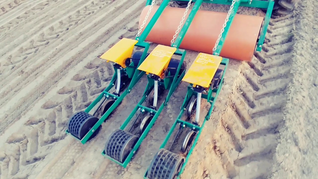 Siew cebuli Agrolux 310 siewnik szczotkowy 2018