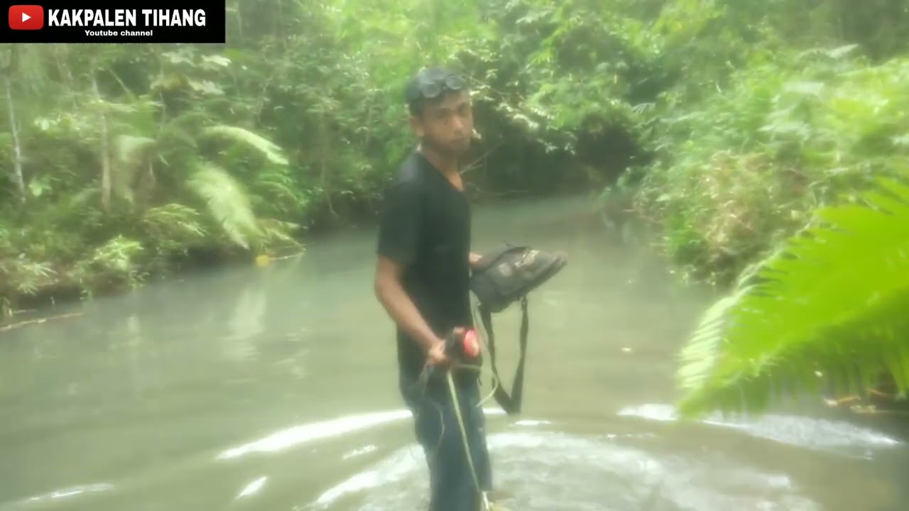 panah  ikan baung khas sumatra