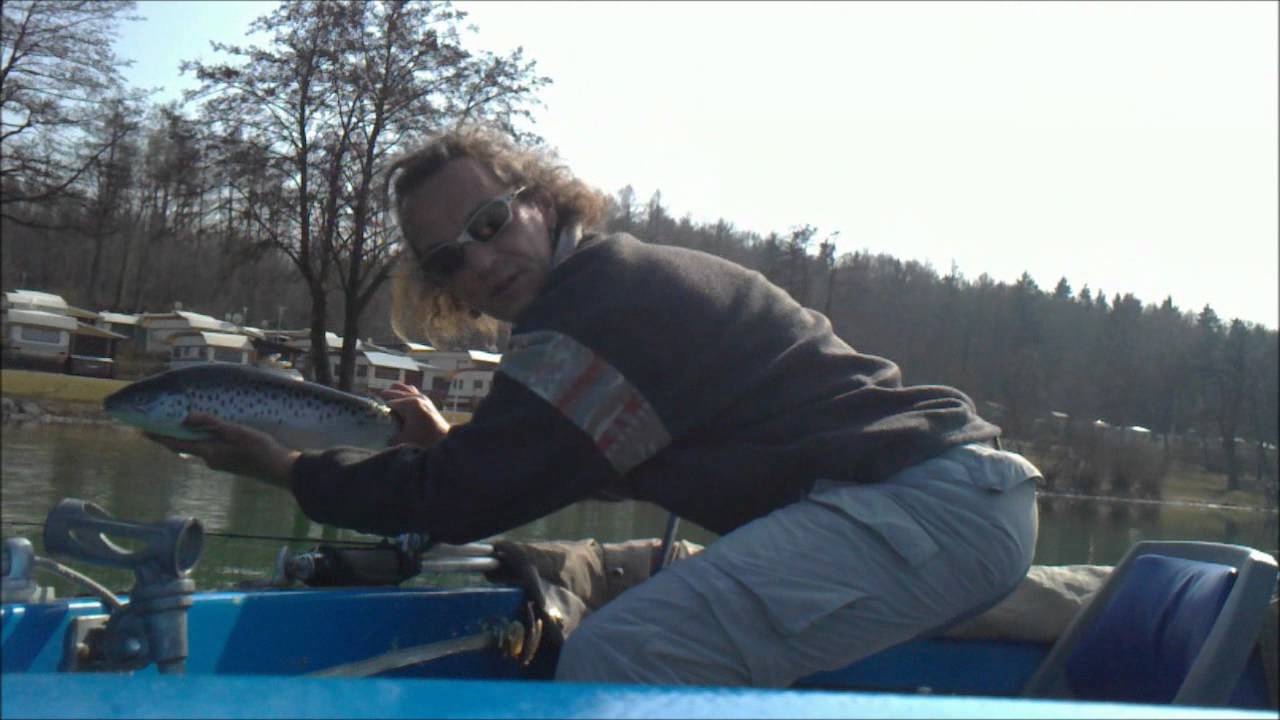 Faszination Seeforelle