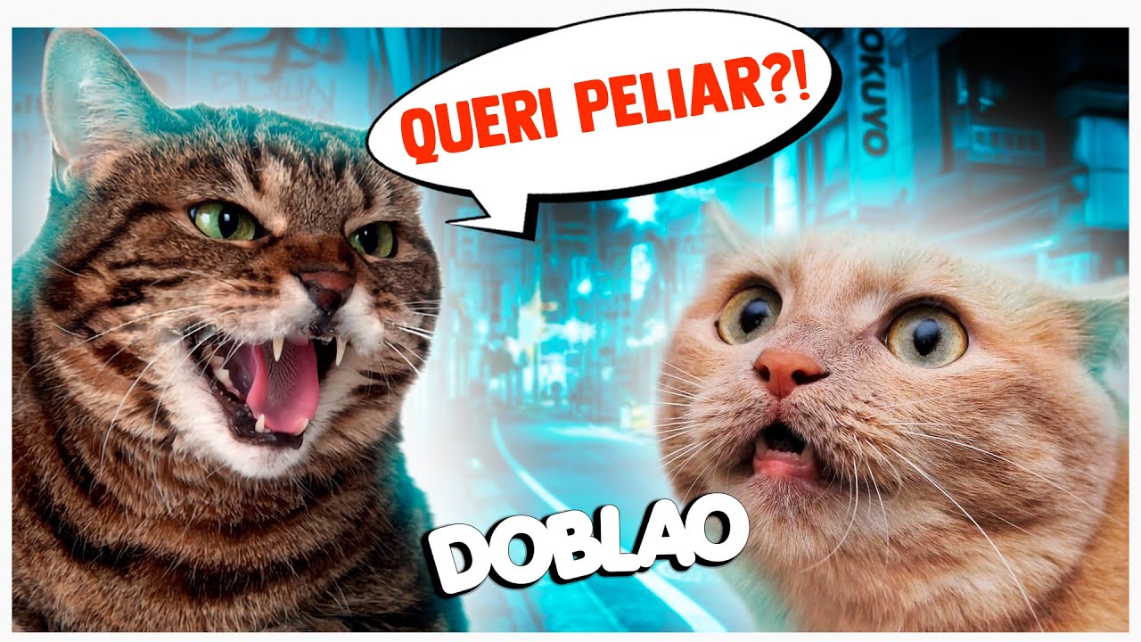 QUERI PELIAAAR? 🐱 | DOBLAO