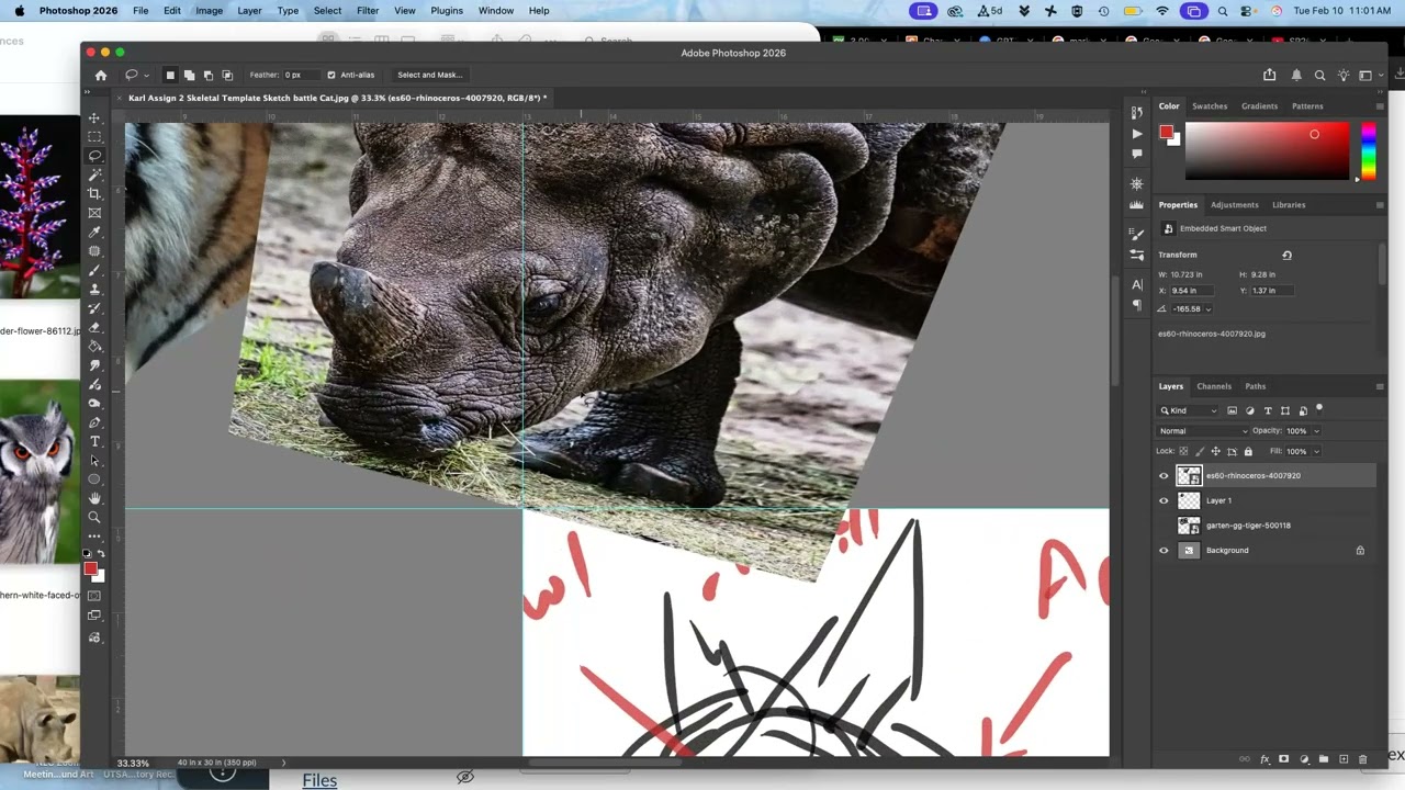 3  Setting Up Your Pixel Dimensions for The Creature Composite