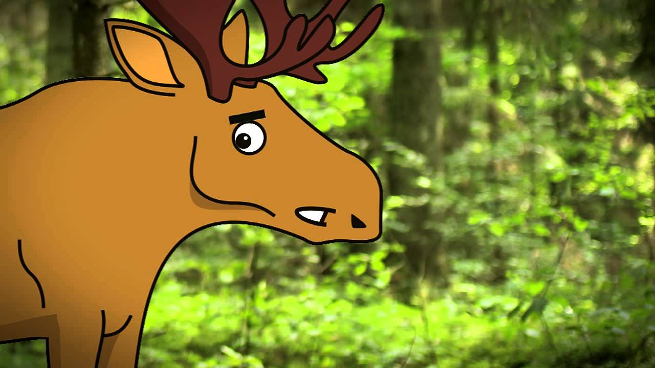Apuoko vestuvės (visas filmukas)