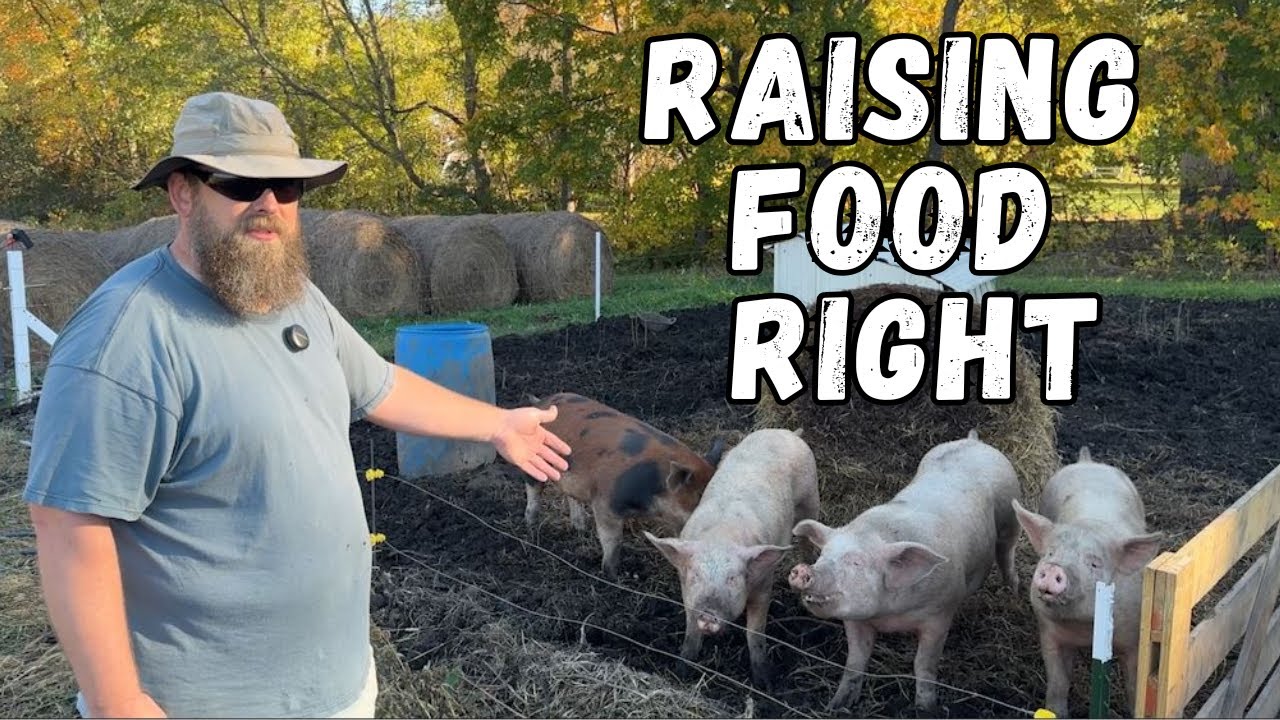 Raising Pastured Pigs (Even if you're in the City)