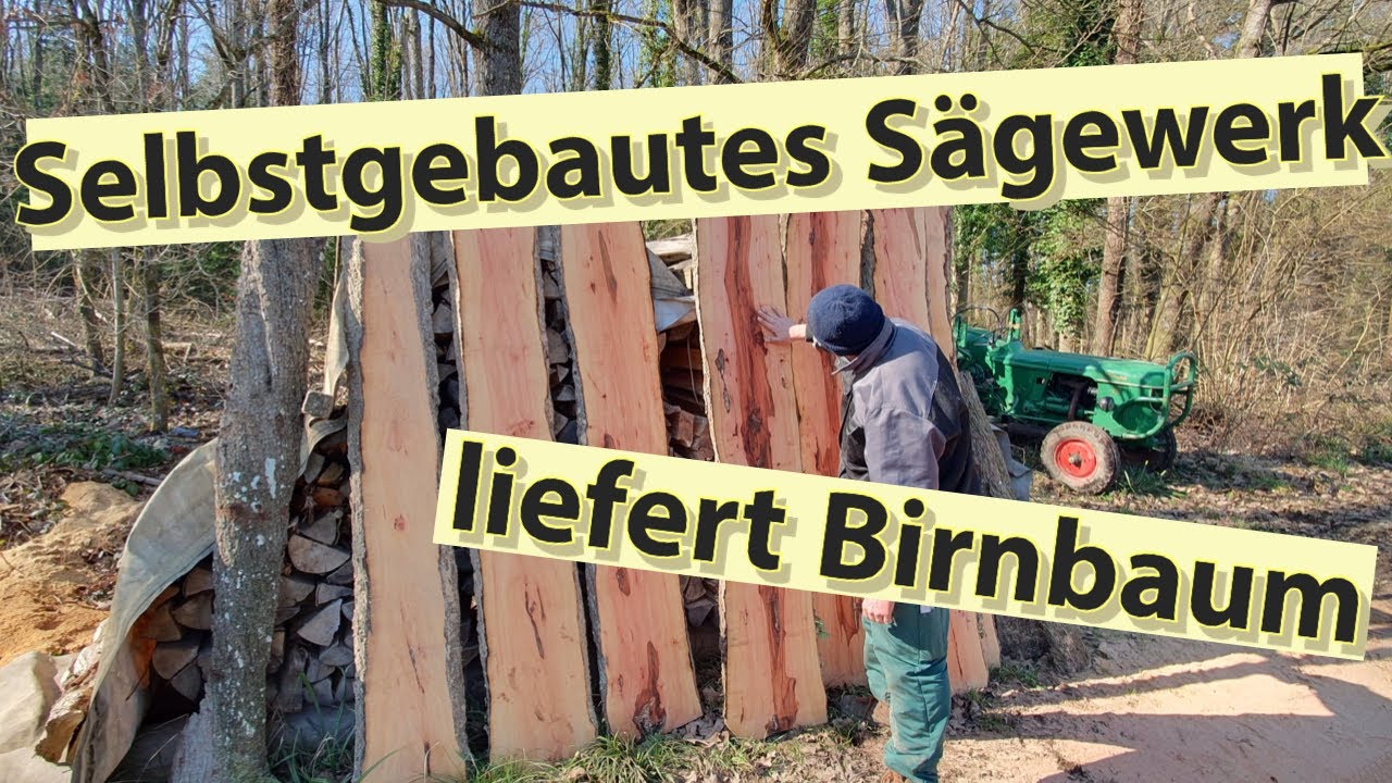 Birnbaum frisch aufgesägt // Pear tree freshly sawn up #wirliebenholz #sawmill #holz #sägewerk