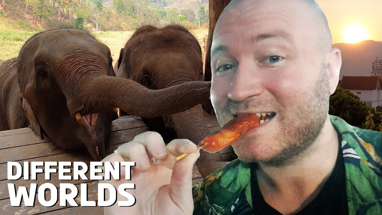 How to Fall in Love with Chiang Mai, Thailand