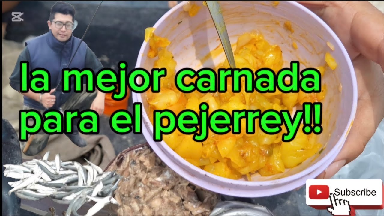 La mejor carnada para el pejerrey..no falla nunca....deja de usar rulero y tanta ceba esta,no falla!