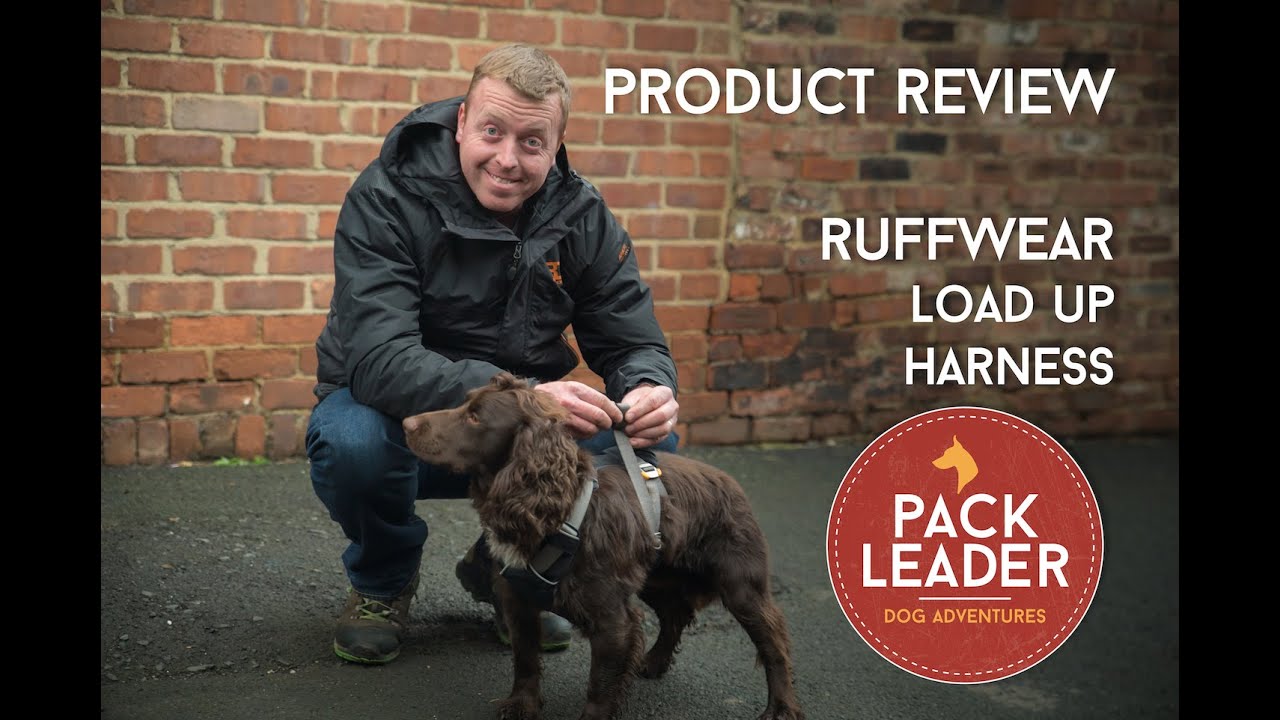Product Review Ruffwear Load Up Harness