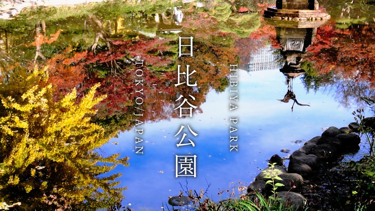 日比谷公園  紅葉　  /Autumn leaves -TOKYO hibiya park