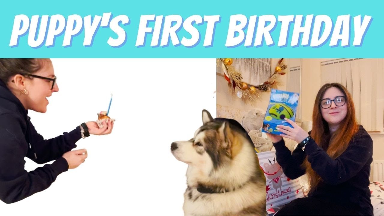 Malamute Puppy FIRST Birthday HAUL | Trying popular toys