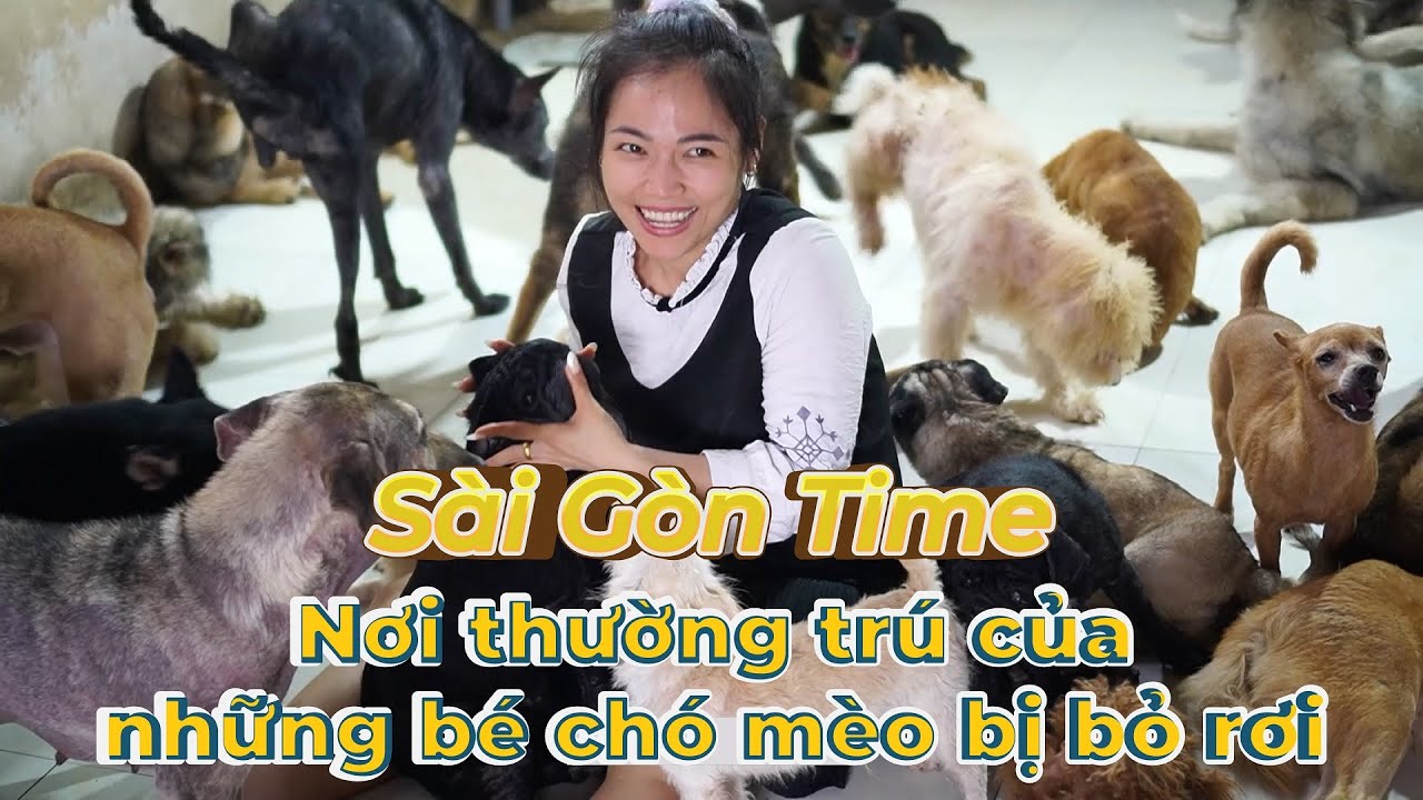 Cùng Tiến Pet tới thăm trạm cứu hộ hơn 300 chó mèo SaiGon Time tại Hồ Chí Minh | Tập 1