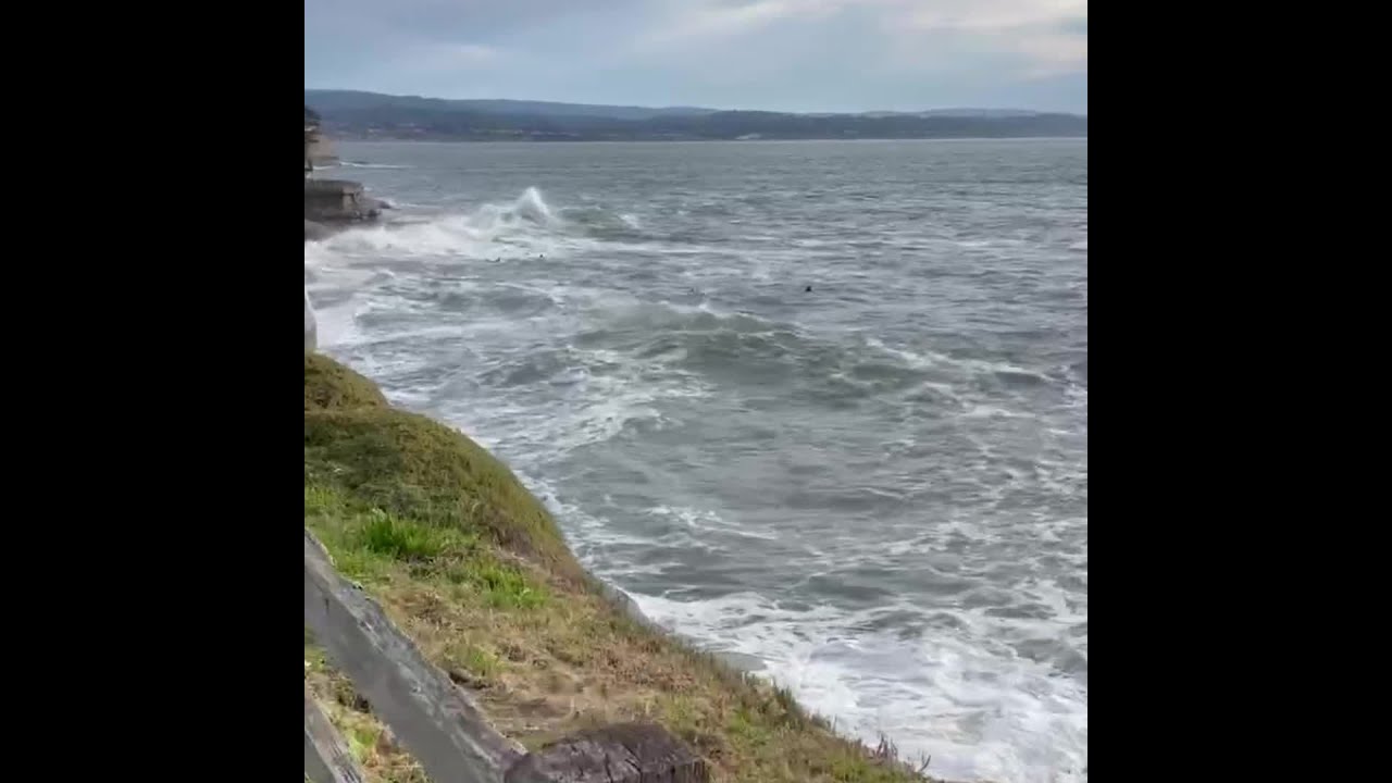 Surfers evacuate the Monterey Bay as tsunami hits Central Coast