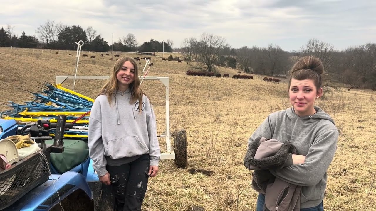 Грег и юные леди управляют стадом быков в марте, в месяц грязи!