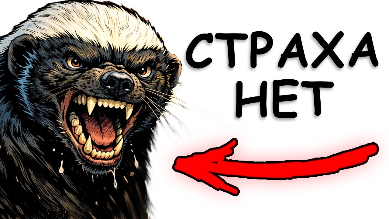 ТЫ - МЕДОЕД (И ЭТО ВСЯ ТВОЯ ЖИЗНЬ)