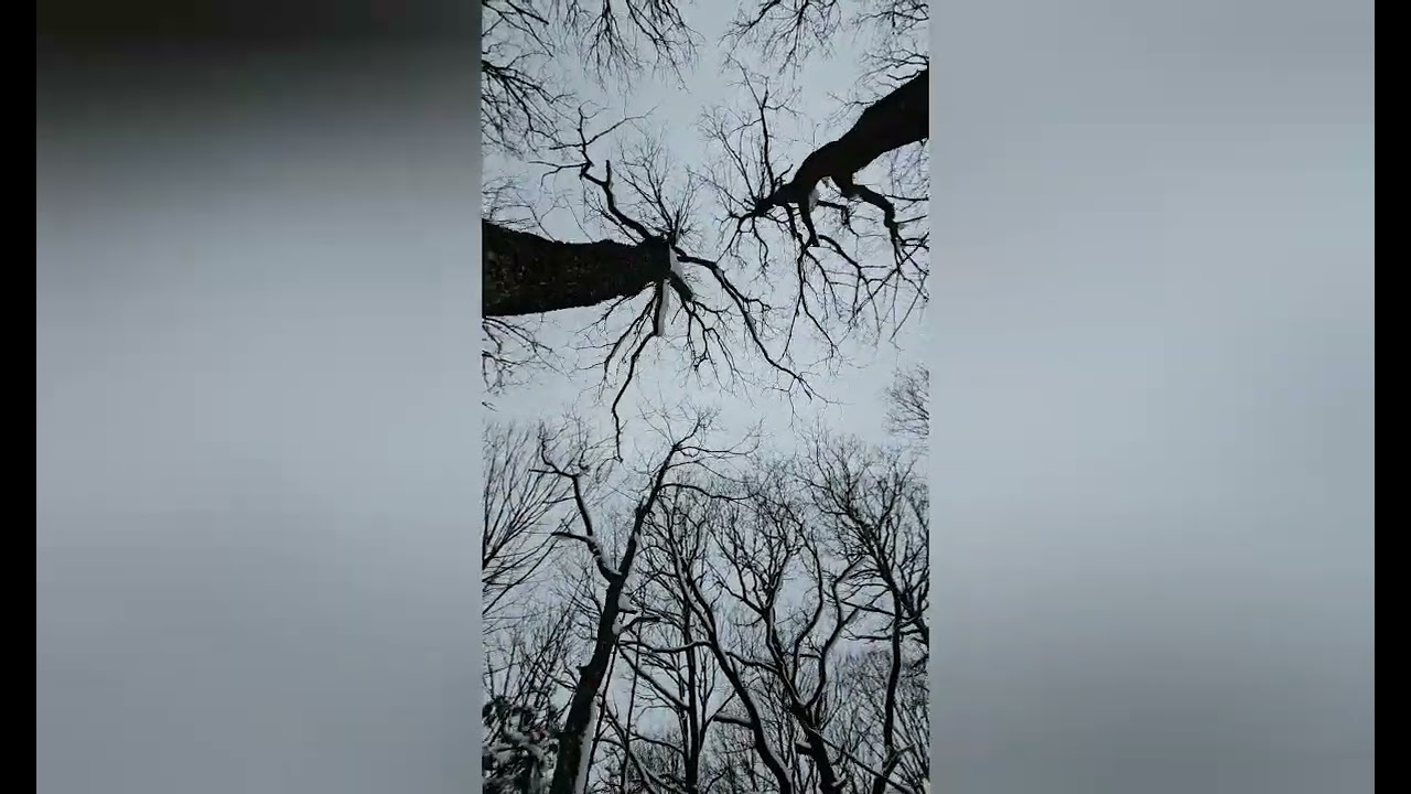 La ilahe illallah-Ömür Gürbüz 