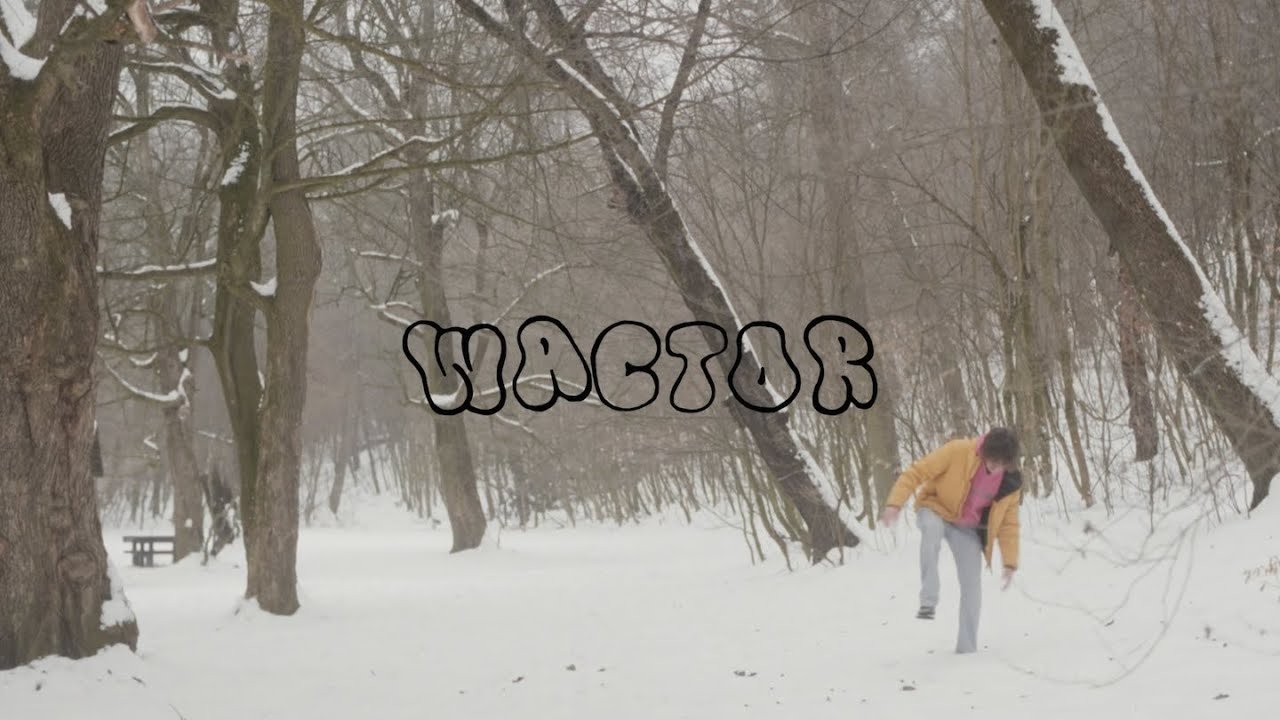 WACTOR - ARANYESŐT