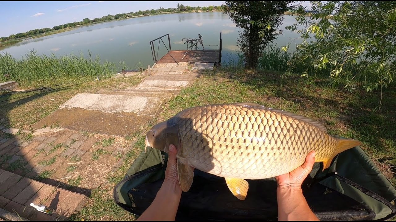 AZ ABONYI HÁRMAS TÓ - Bojlis horgászat.