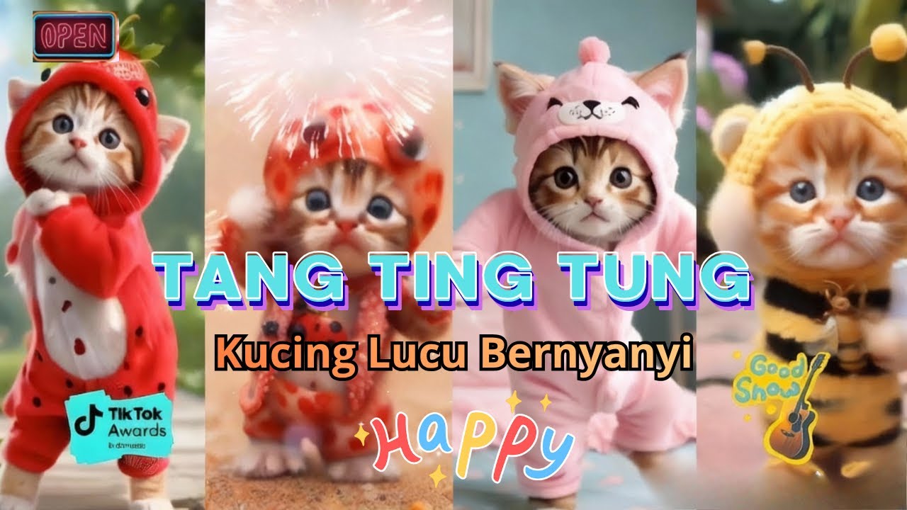 TANG TING TUNG VERSI KUCING LUCU DAN KAWAN KAWAN TERBARU