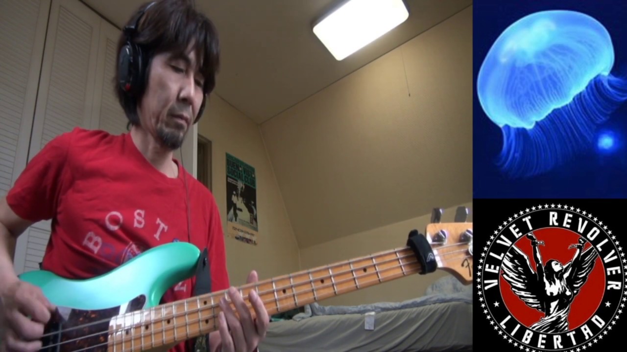 Let It Roll-Velvet Revolver(bass cover)