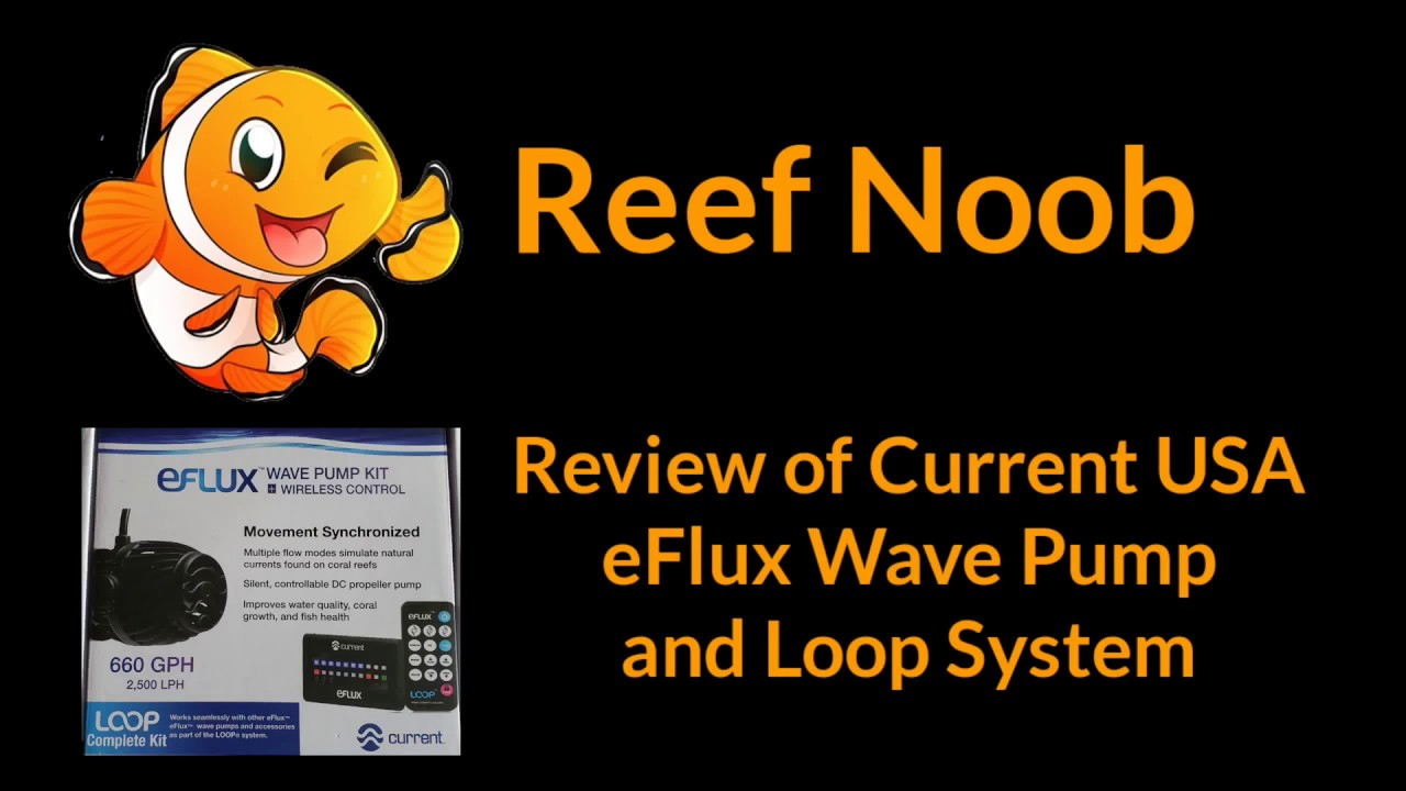 Review of Current USA eFlux Wave Pump and Loop System
