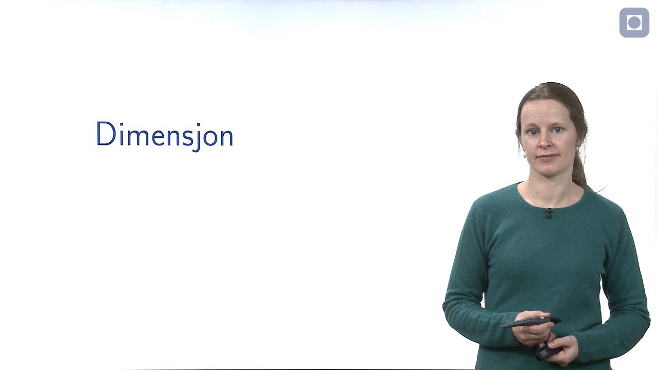 Dimensjon