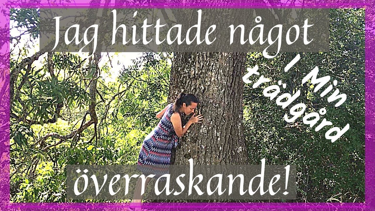 Titta vad jag hittade! Röjde i trädgården (del 2)