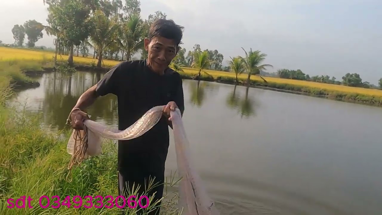 Một Ngày Ra Đồng Chài Cá Của Tư Cà Khịa Và Câu Chuyện Cảm Động Phía Sau