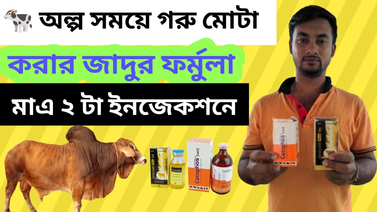 🐄 গরু দ্রুত মোটা তাজা করার গোপন রহস্য! মাত্র ২টা ইনজেকশনেই ফলাফল দেখো 💉🔥Agro 001 #youtube #agro001r