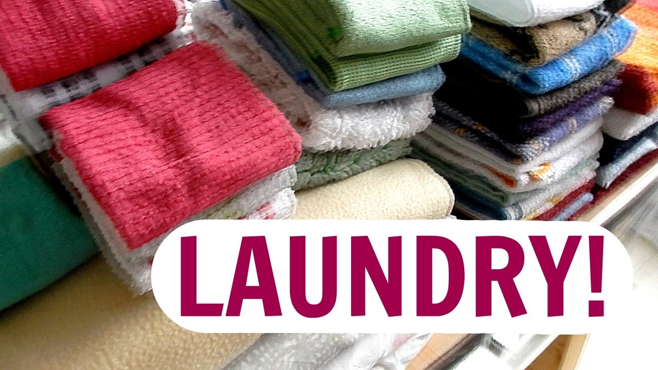 LAUNDRY SPECIAL #2 | VICINA LUCINDA