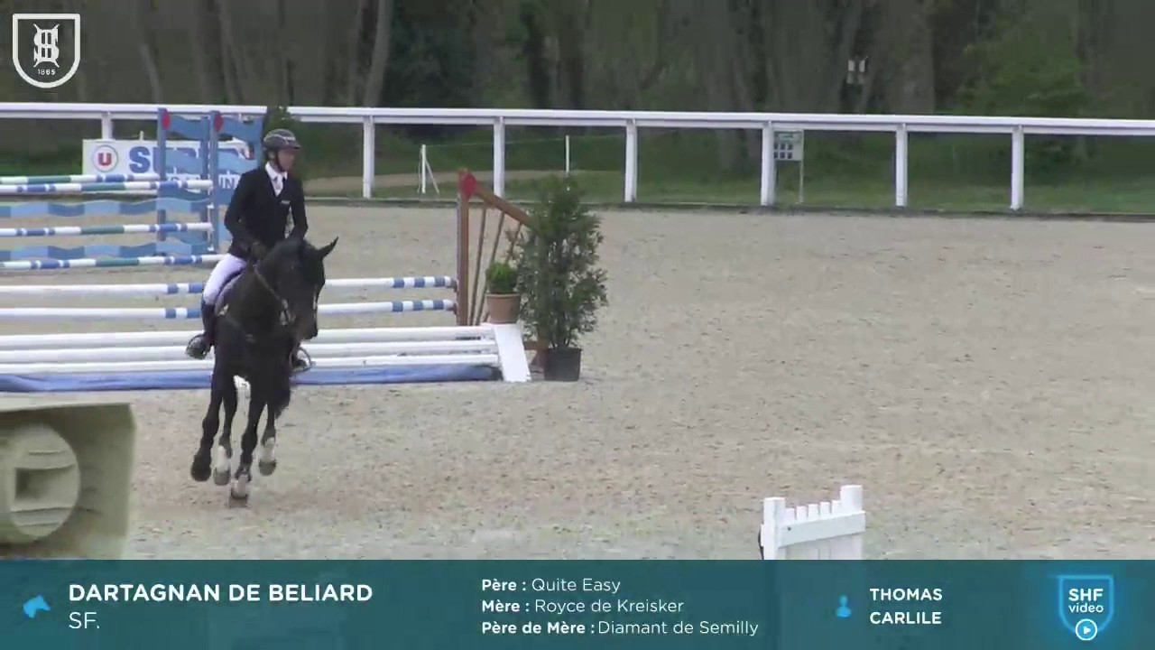 Dartagnan de Beliard (Quite Easy x Royce de Kreisler)