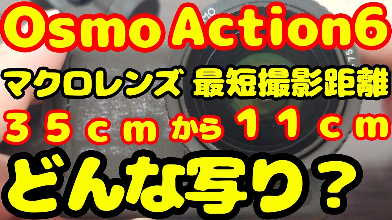 【Osmo Action6 忖度なし】マクロレンズをつけて最短撮影距離11センチで撮影したらどんな映像になる？OsmoPocket3との比較