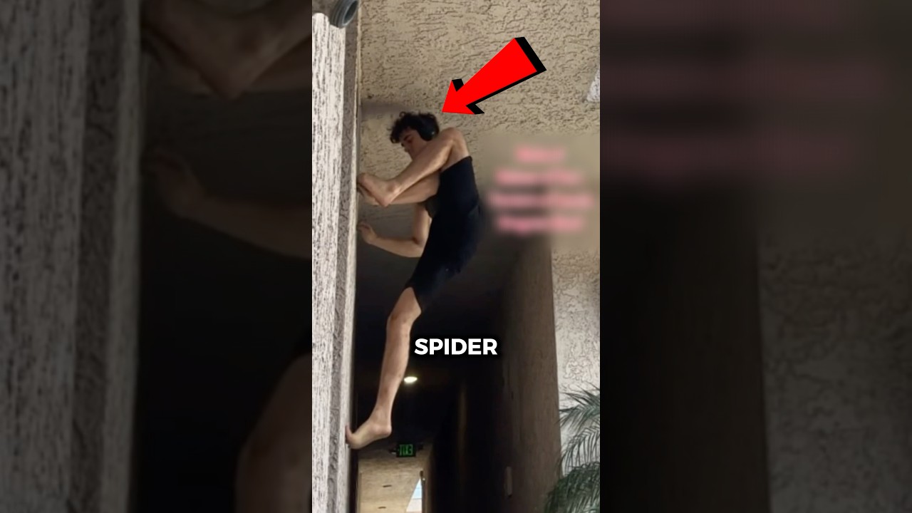 Real-Life Spider-Man 🕷️(@swholeanimal)