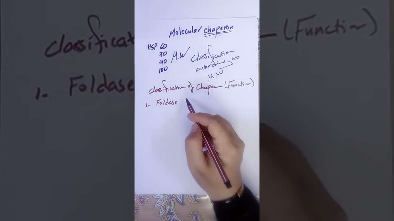 Chaperones and chaperonin Part 2: HSP 70 and HSP40 بالعربي