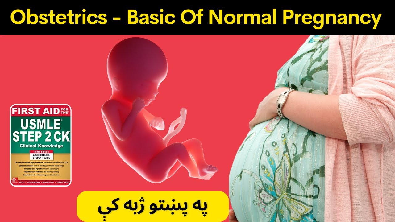 Obstetrics: Basic Of Normal Pregnancy